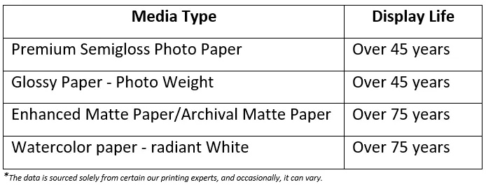 Comparison of Lightfastness - Printer Ink Cartridge